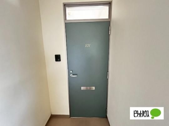 �y���̑��z�@�G���g�����X