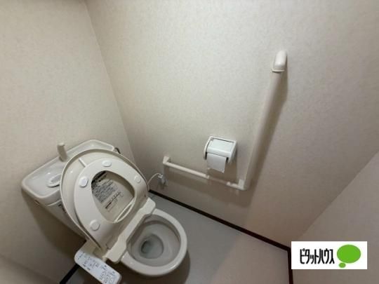 �y���̑��z�@�g�C��