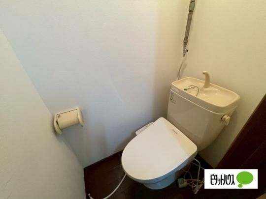 �y���̑��z�@�g�C��