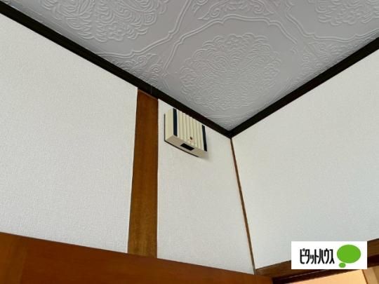 �y���̑��z�@�Z�L�����e�B