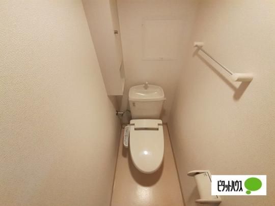 �y���̑��z�@�g�C��