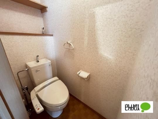�y���̑��z�@�g�C��