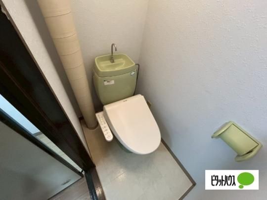 �y���̑��z�@�g�C��