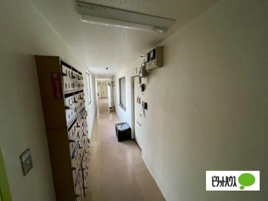 �y�����O�ρz�@�O��