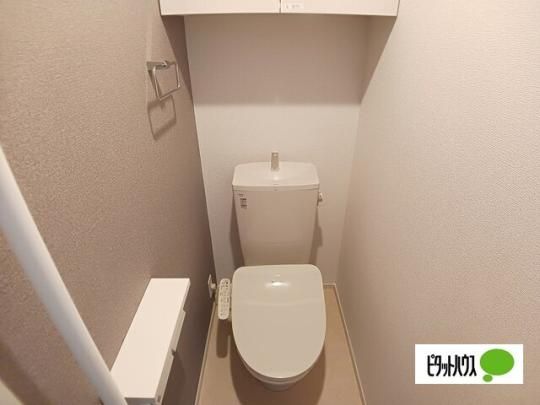 �y���̑��z�@�g�C��