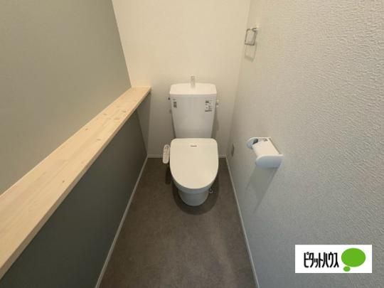 �y���̑��z�@�g�C��