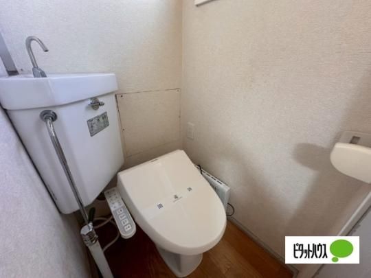 �y���̑��z�@���r���O