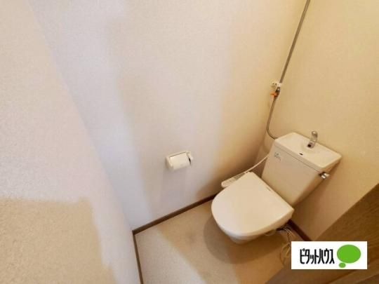 �y���̑��z�@�g�C��