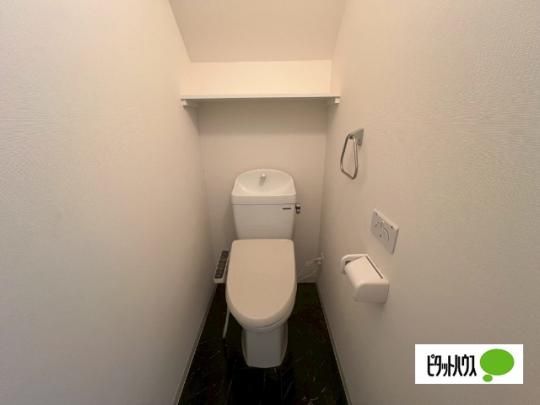 �y���̑��z�@�g�C��