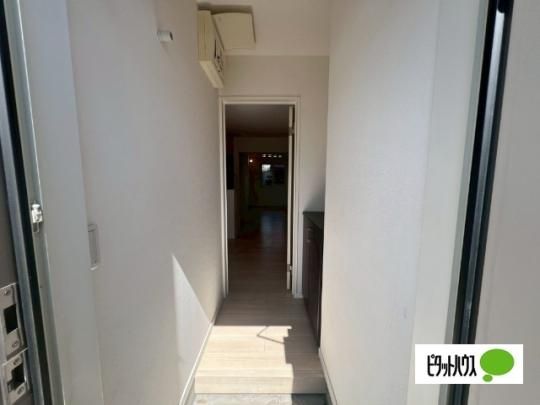 �y���̑��z�@����