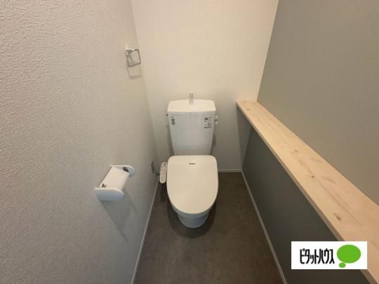 �y���̑��z�@�g�C��