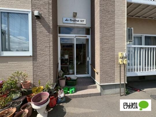 �y�����O�ρz�@�G���g�����X