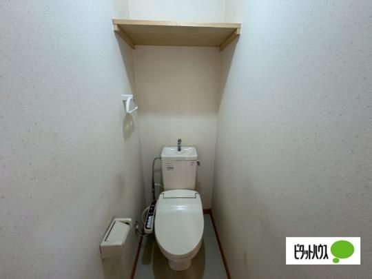 �y���̑��z�@�g�C��