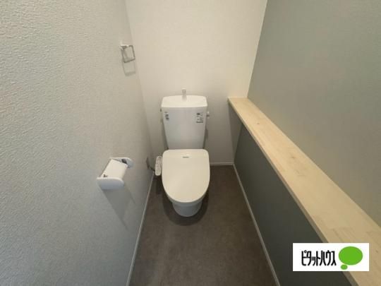 �y���̑��z�@�g�C��