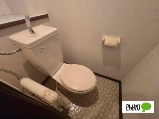 �y���̑��z�@�o�X�^�V�����[