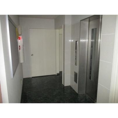 �y�����O�ρz�@�G���g�����X