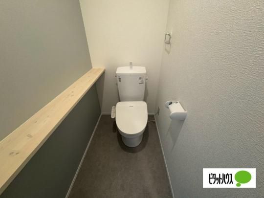 �y���̑��z�@�g�C��