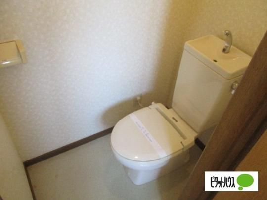 �y���̑��z�@�g�C��