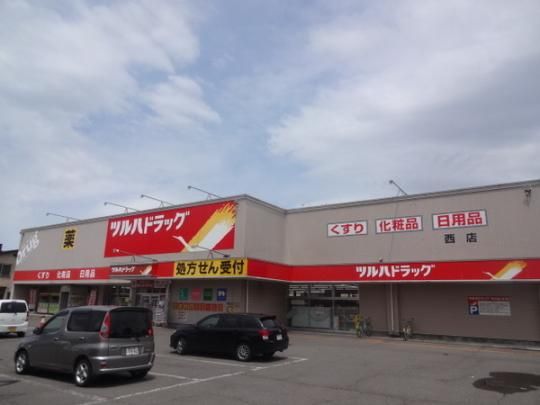 �y���Ӂz�@���ܖ�ǃc���n�h���b�O���X�F1116m