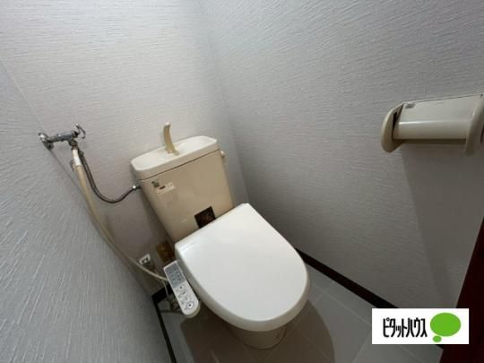 �y���̑��z�@�g�C��