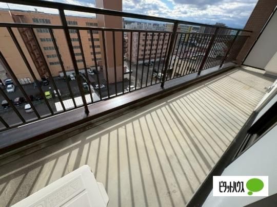 �y���̑��z�@�o���R�j�[