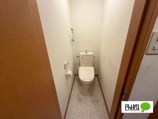 �y���̑��z�@�g�C��