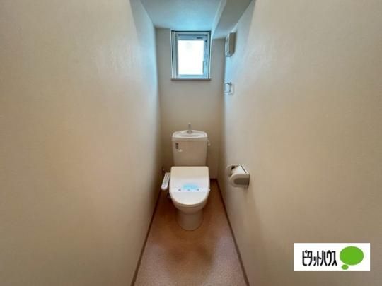 �y���̑��z�@�g�C��
