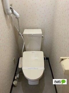 �y���̑��z�@�g�C��
