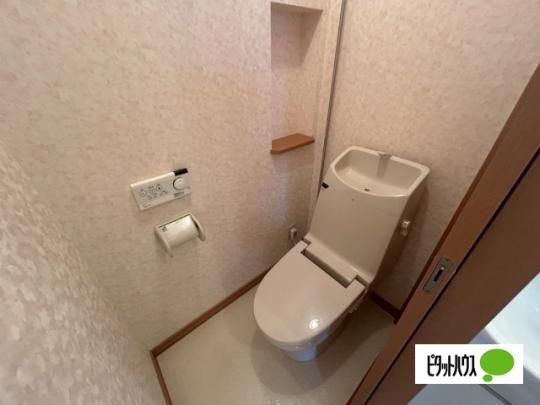�y���̑��z�@�g�C��