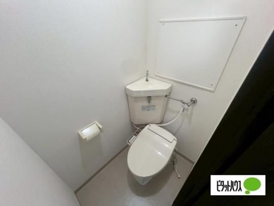 �y���̑��z�@�g�C��