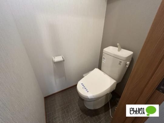 �y���̑��z�@�g�C��