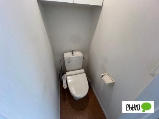 �y���̑��z�@�g�C��
