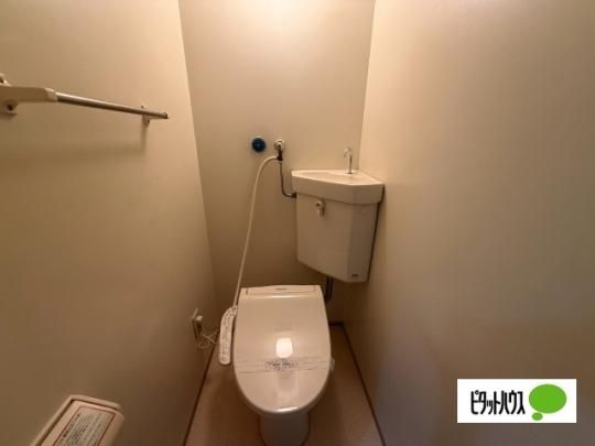 �y���̑��z�@�g�C��