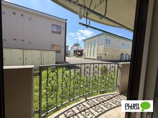 �y���̑��z�@�o���R�j�[