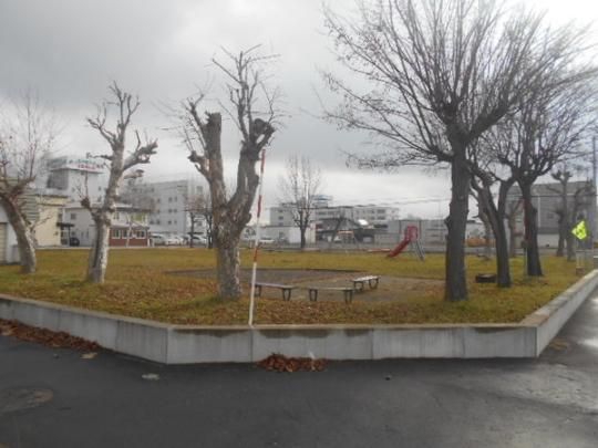 �y�����O�ρz�@���L����