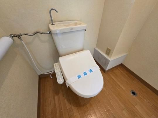 �y���̑��z�@�g�C��
