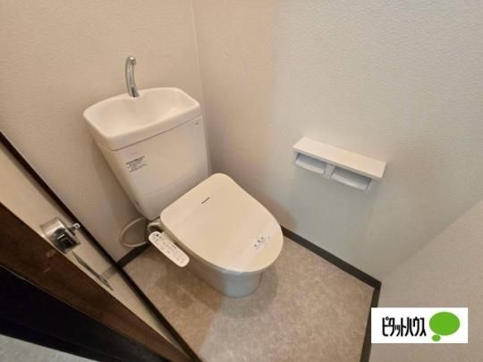 �y���̑��z�@�g�C��