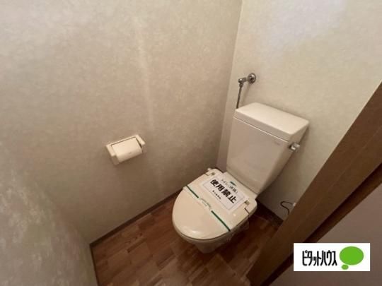�y���̑��z�@�g�C��
