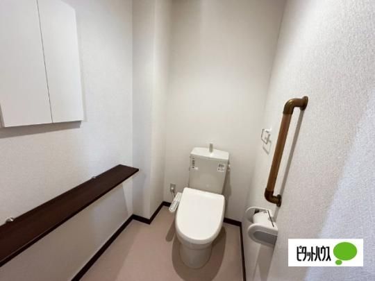 �y���̑��z�@�g�C��