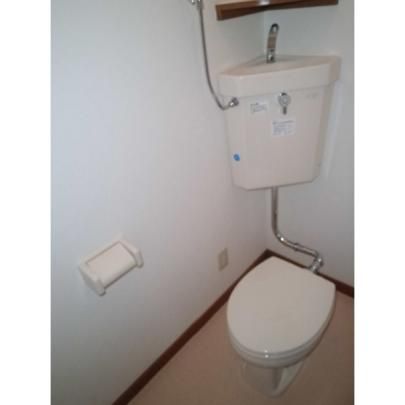 �y���̑��z�@�g�C��