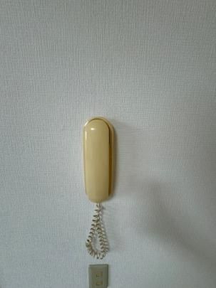 �y���̑��z�@�Z�L�����e�B