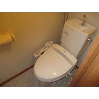 �y���̑��z�@�g�C��