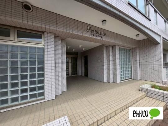 �y�����O�ρz�@�G���g�����X