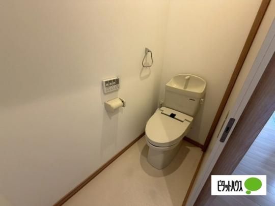 �y���̑��z�@�g�C��