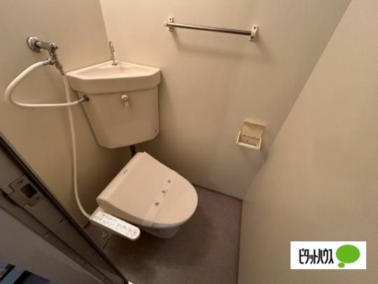 �y���̑��z�@�g�C��