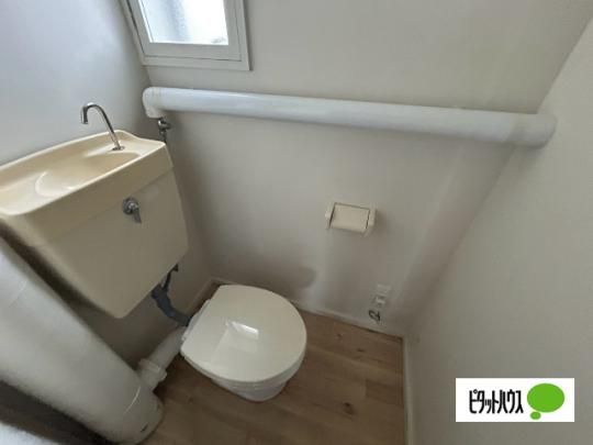 �y���̑��z�@�g�C��
