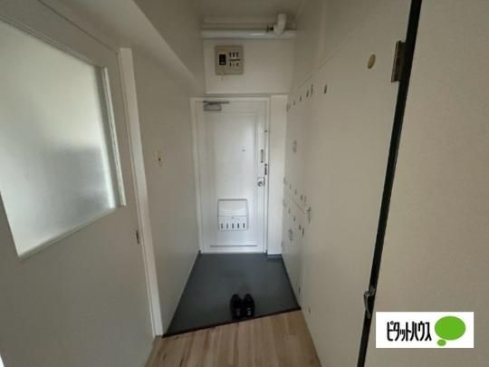 �y���̑��z�@����