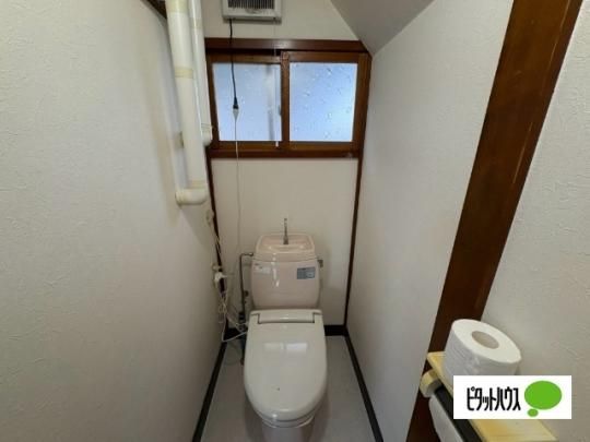 �y���̑��z�@�g�C��