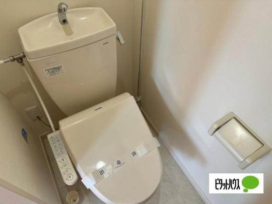 �y���̑��z�@�g�C��