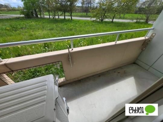 �y���̑��z�@�o���R�j�[